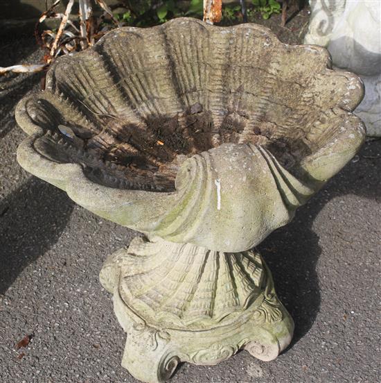 Scallop shell bird bath